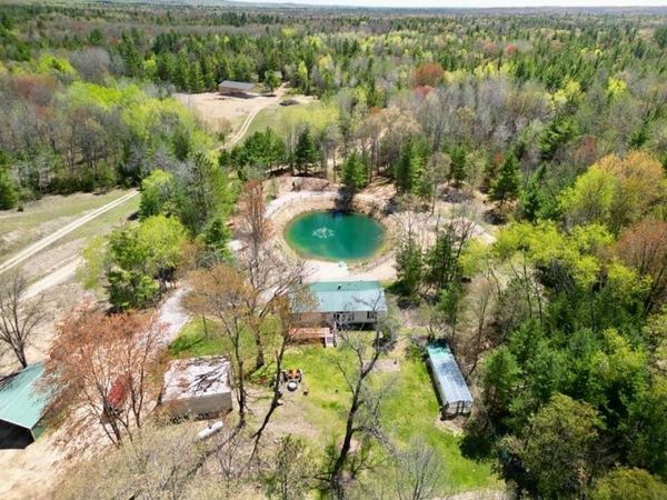 1255 E Chickadee Lane, Luther, MI 49656