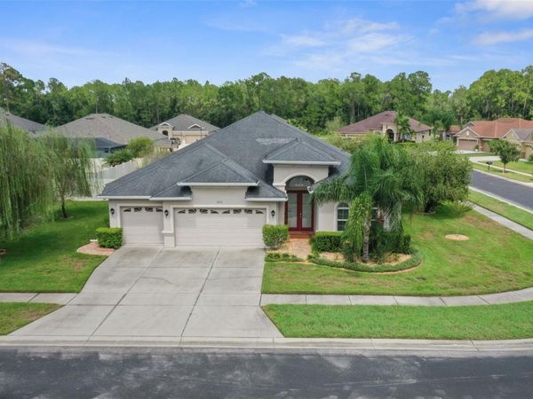 27211 HAWKS NEST CIRCLE, WESLEY CHAPEL, FL 33544