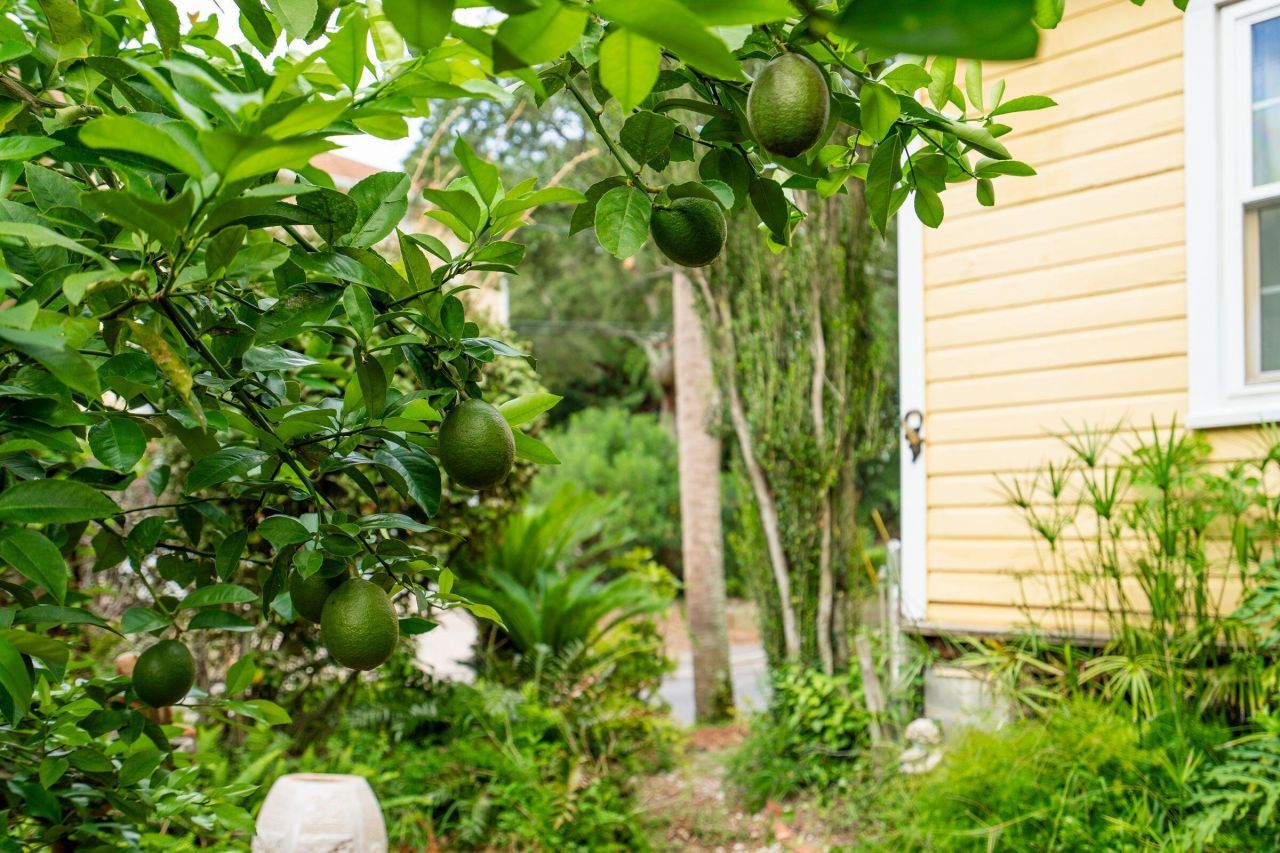 120 W Hudson Avenue Photo 45