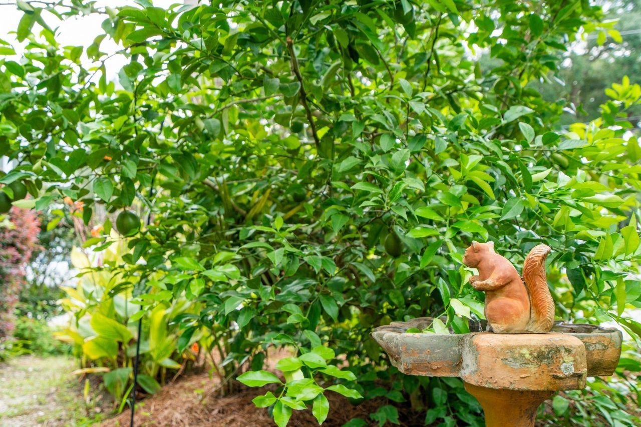 120 W Hudson Avenue Photo 55