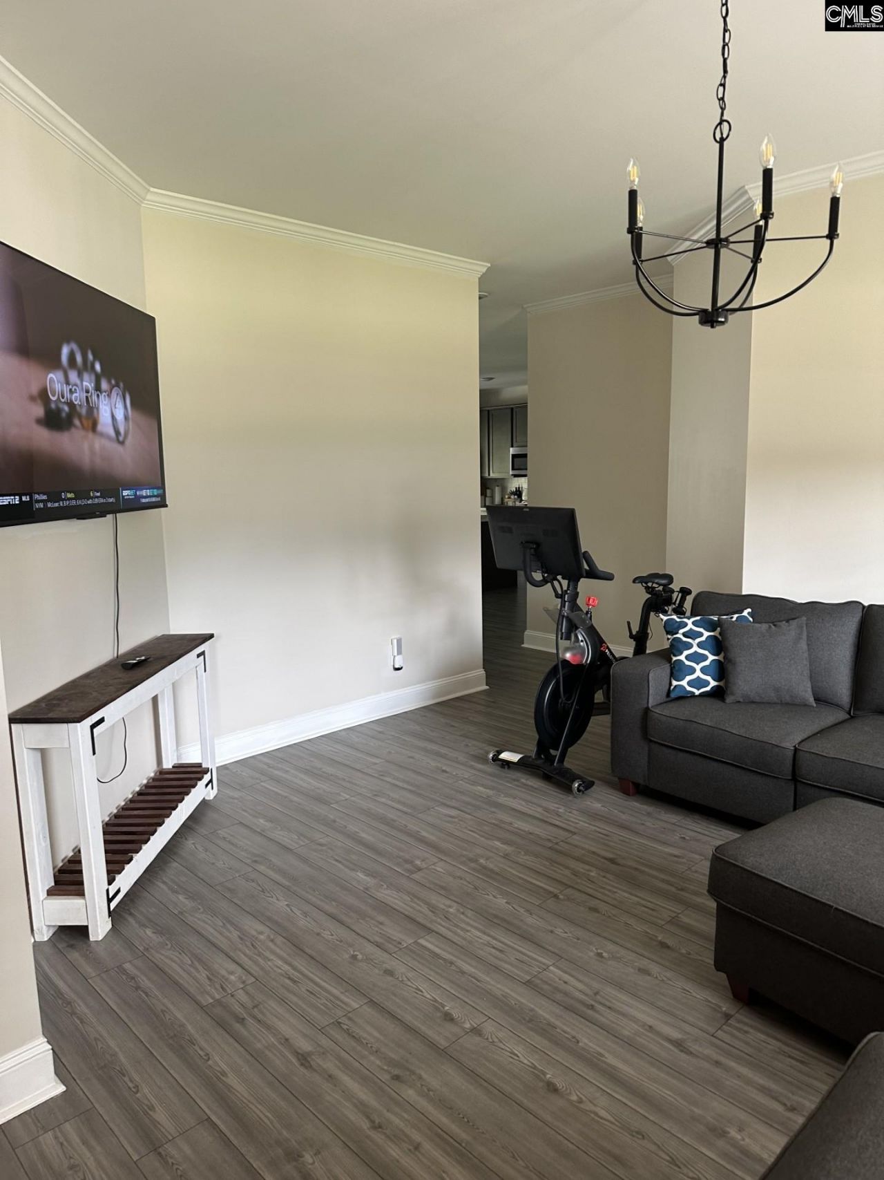 524 Triumph Road Photo 37