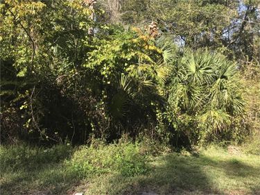LOT 14, LAKE PANASOFFKEE, FL 33538