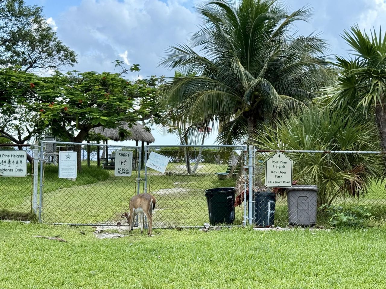 3962-3964 No Name Road, Big Pine Key, FL 33043 Photo