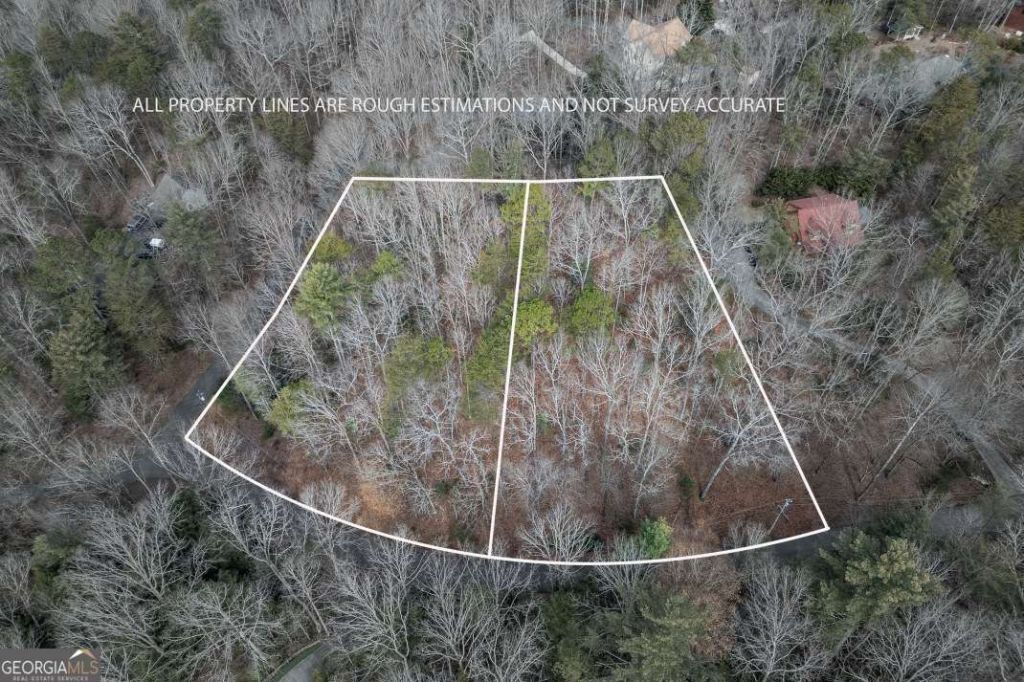 454, 455 Seneca Drive, Ellijay, GA 30540 Main Photo