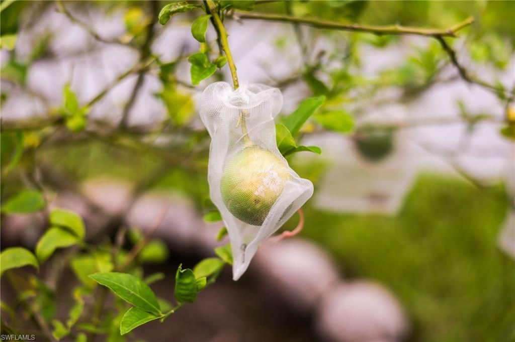 1771 Coral Way, North Fort Myers, FL 33917 Photo