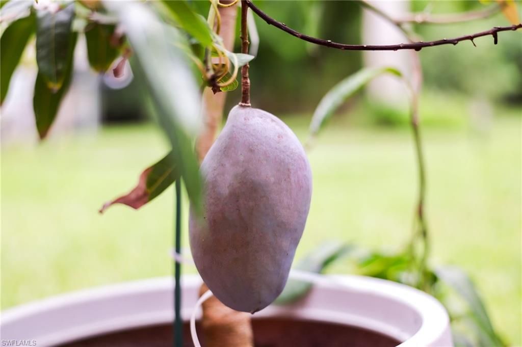 1771 Coral Way, North Fort Myers, FL 33917 Photo