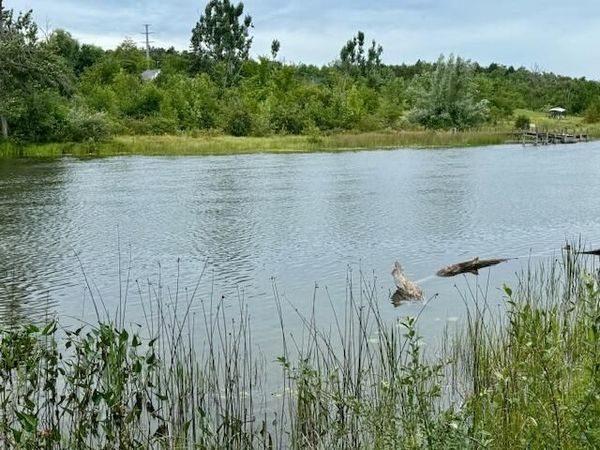Lot 6 Mograin, Cheboygan, MI 49721
