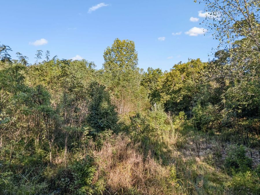 Property Image 45