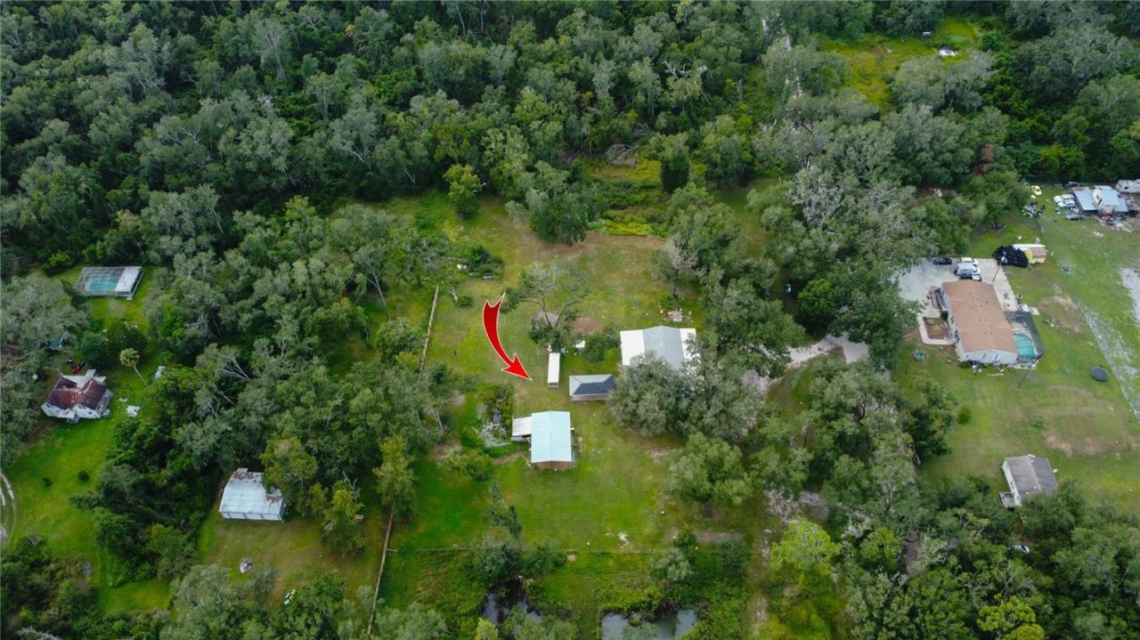 39912 Jerry Rd, Zephyrhills, FL 33540 Photo