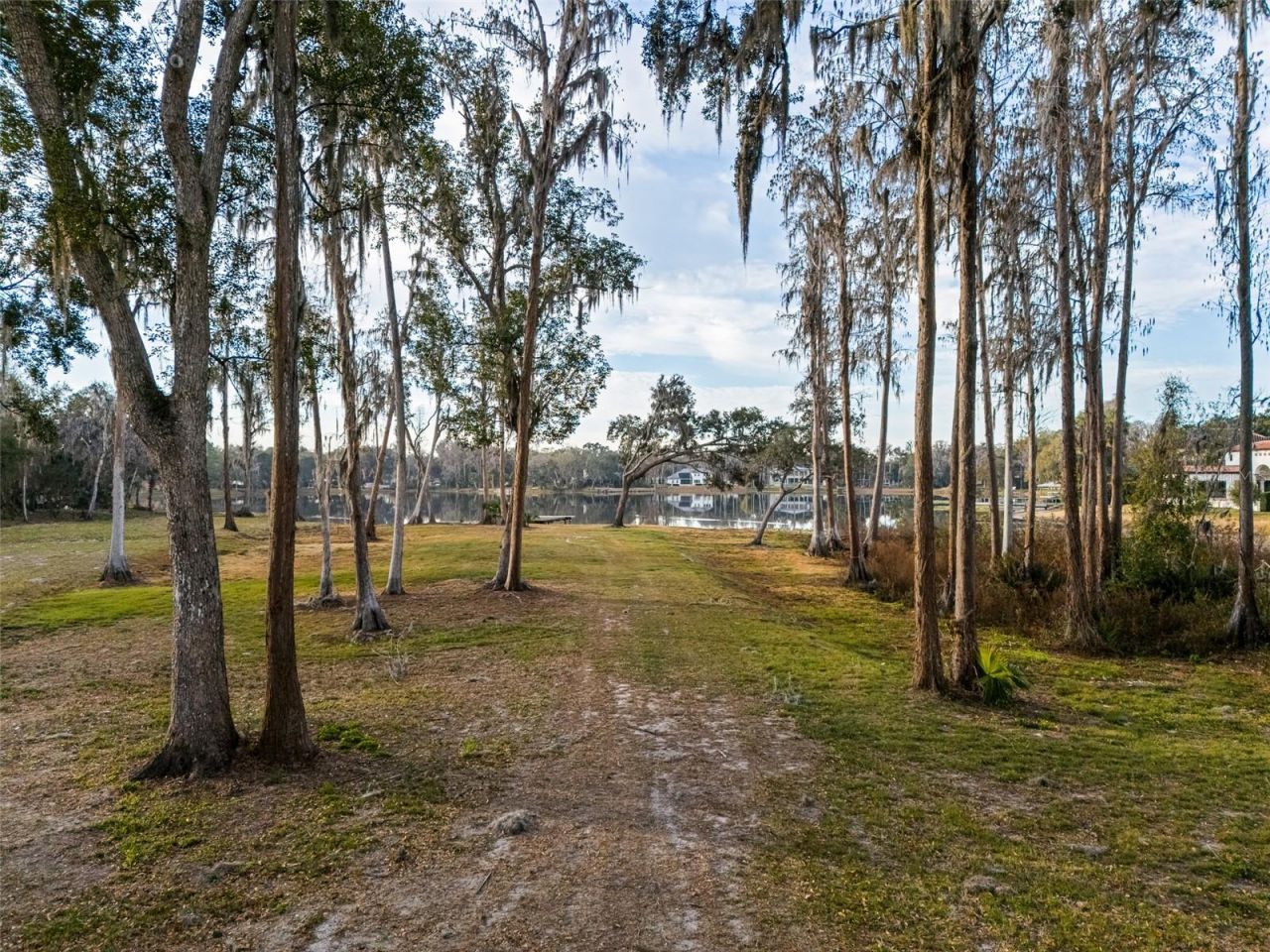 16619 Indian Mound Road, Tampa, FL 33618 Photo