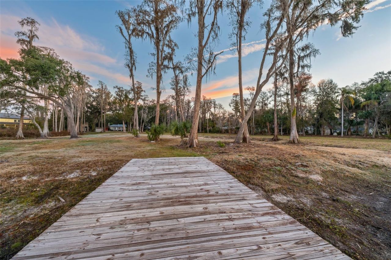 16619 Indian Mound Road, Tampa, FL 33618 Photo