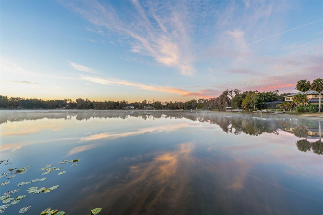 16619 Indian Mound Road, Tampa, FL 33618 Photo