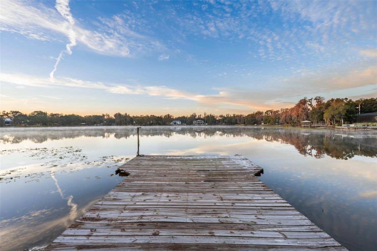 16619 Indian Mound Road, Tampa, FL 33618 Photo