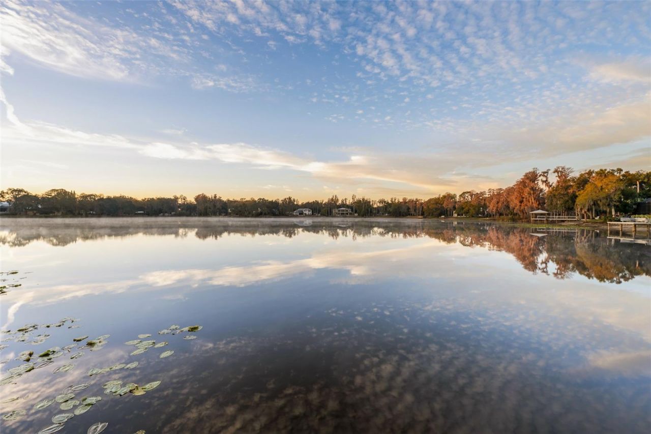 16619 Indian Mound Road, Tampa, FL 33618 Photo