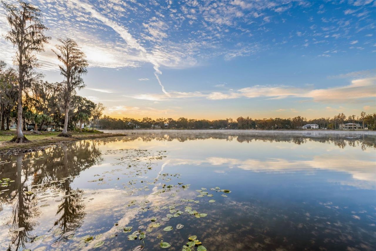 16619 Indian Mound Road, Tampa, FL 33618 Photo