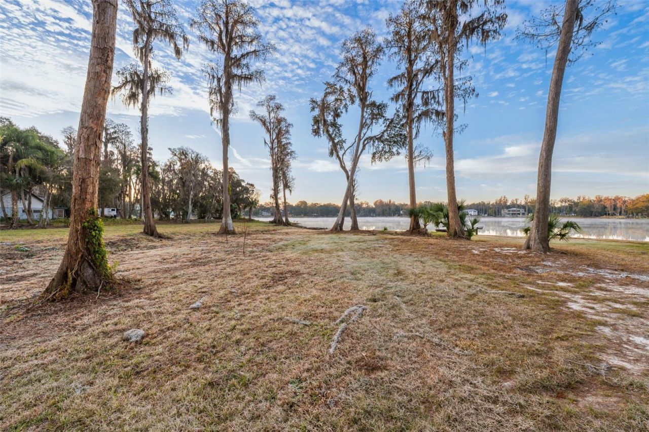 16619 Indian Mound Road, Tampa, FL 33618 Photo