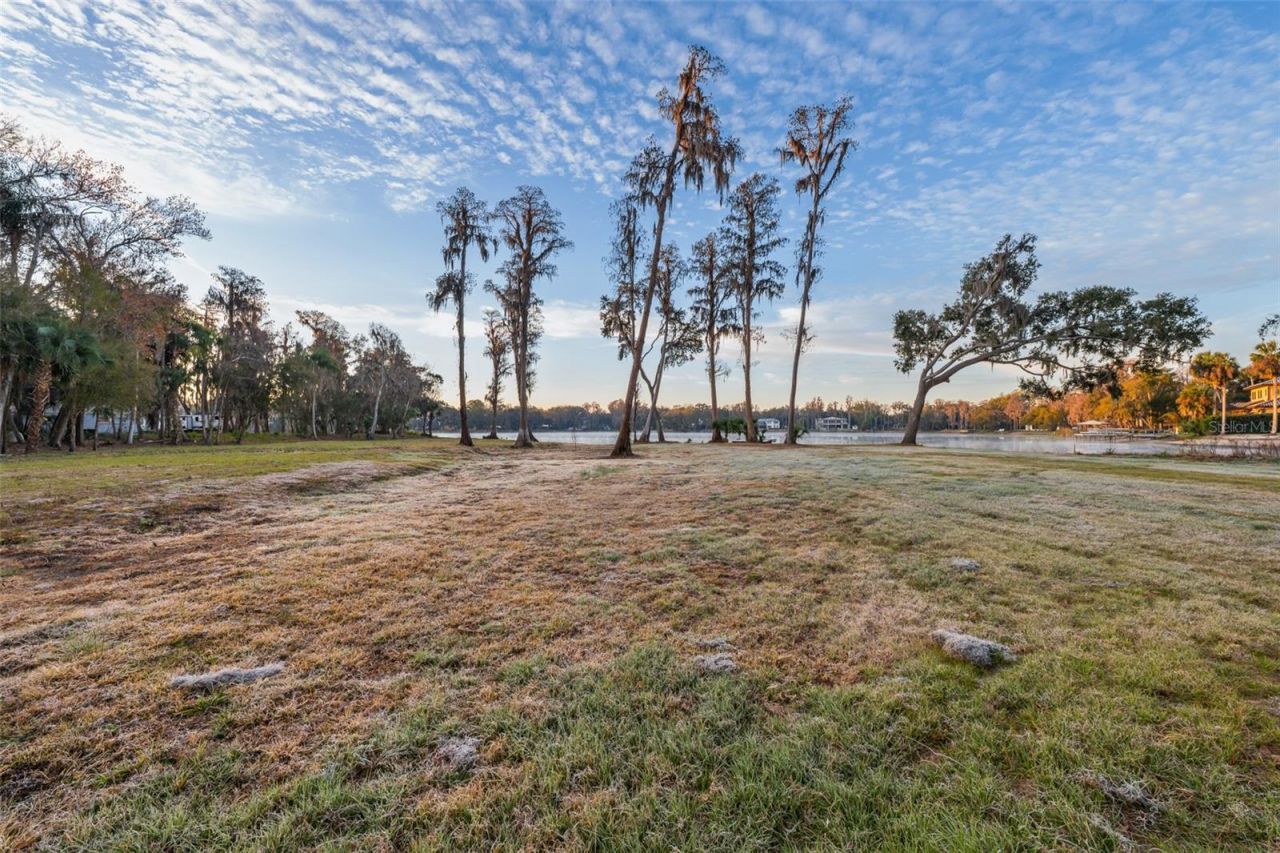 16619 Indian Mound Road, Tampa, FL 33618 Photo