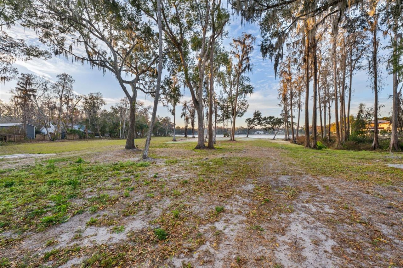 16619 Indian Mound Road, Tampa, FL 33618 Photo