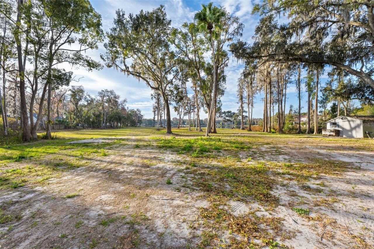 16619 Indian Mound Road, Tampa, FL 33618 Photo