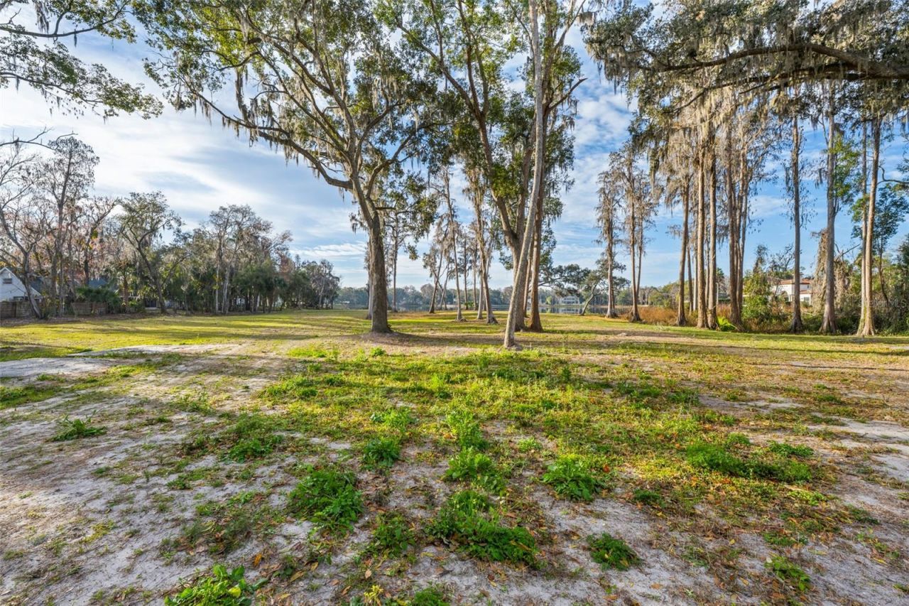 16619 Indian Mound Road, Tampa, FL 33618 Photo