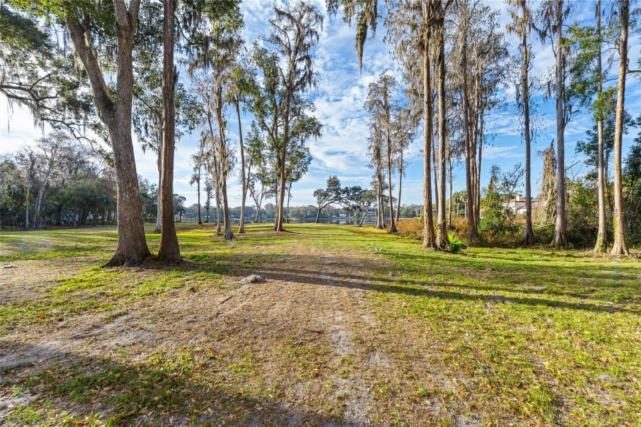 16619 Indian Mound Road, Tampa, FL 33618 Photo