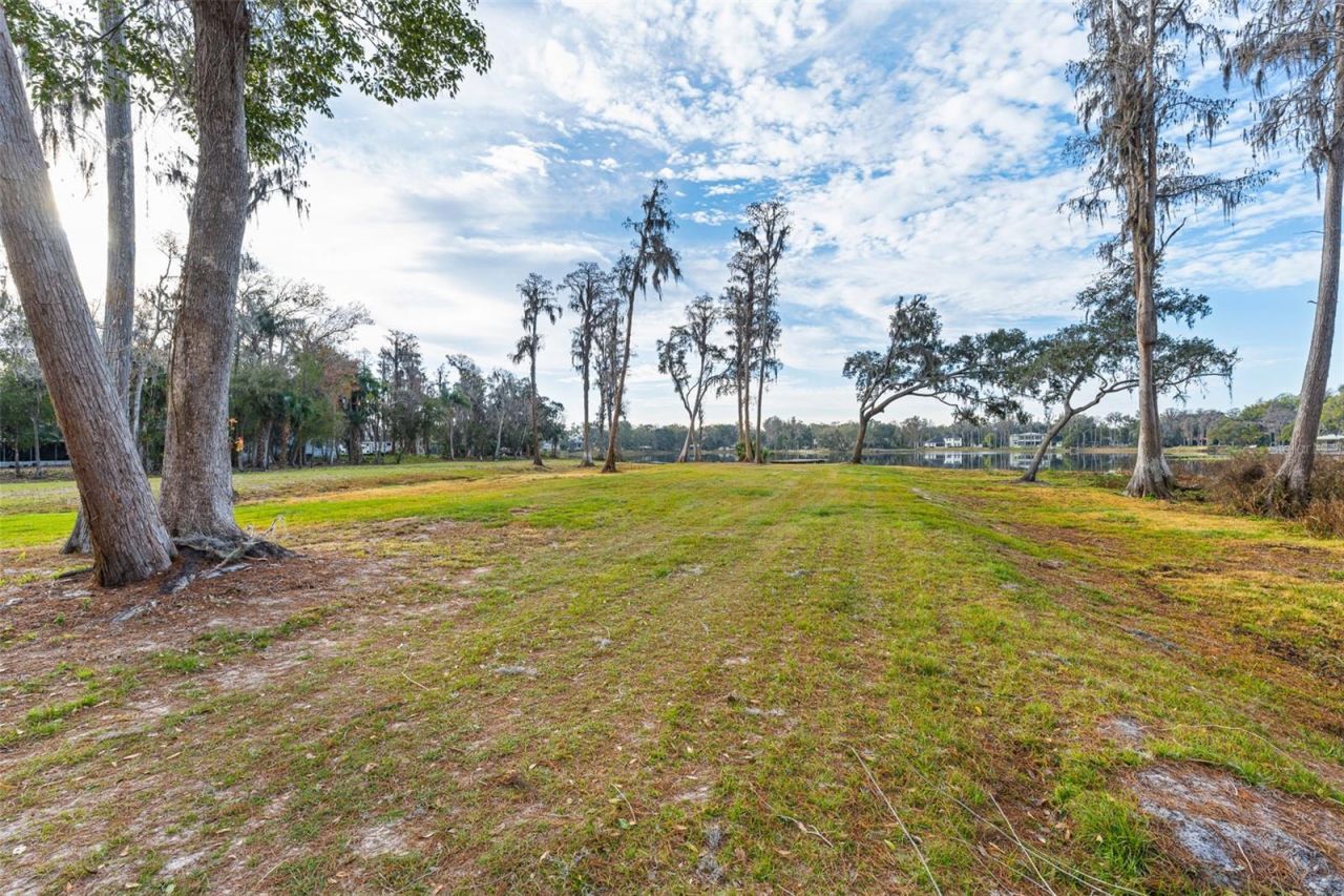 16619 Indian Mound Road, Tampa, FL 33618 Photo