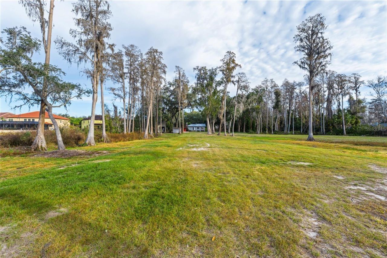 16619 Indian Mound Road, Tampa, FL 33618 Photo