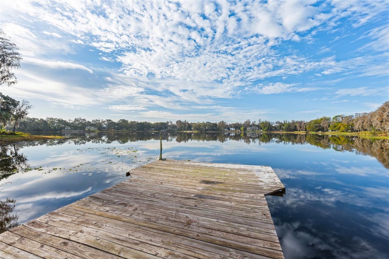 16619 Indian Mound Road, Tampa, FL 33618 Photo