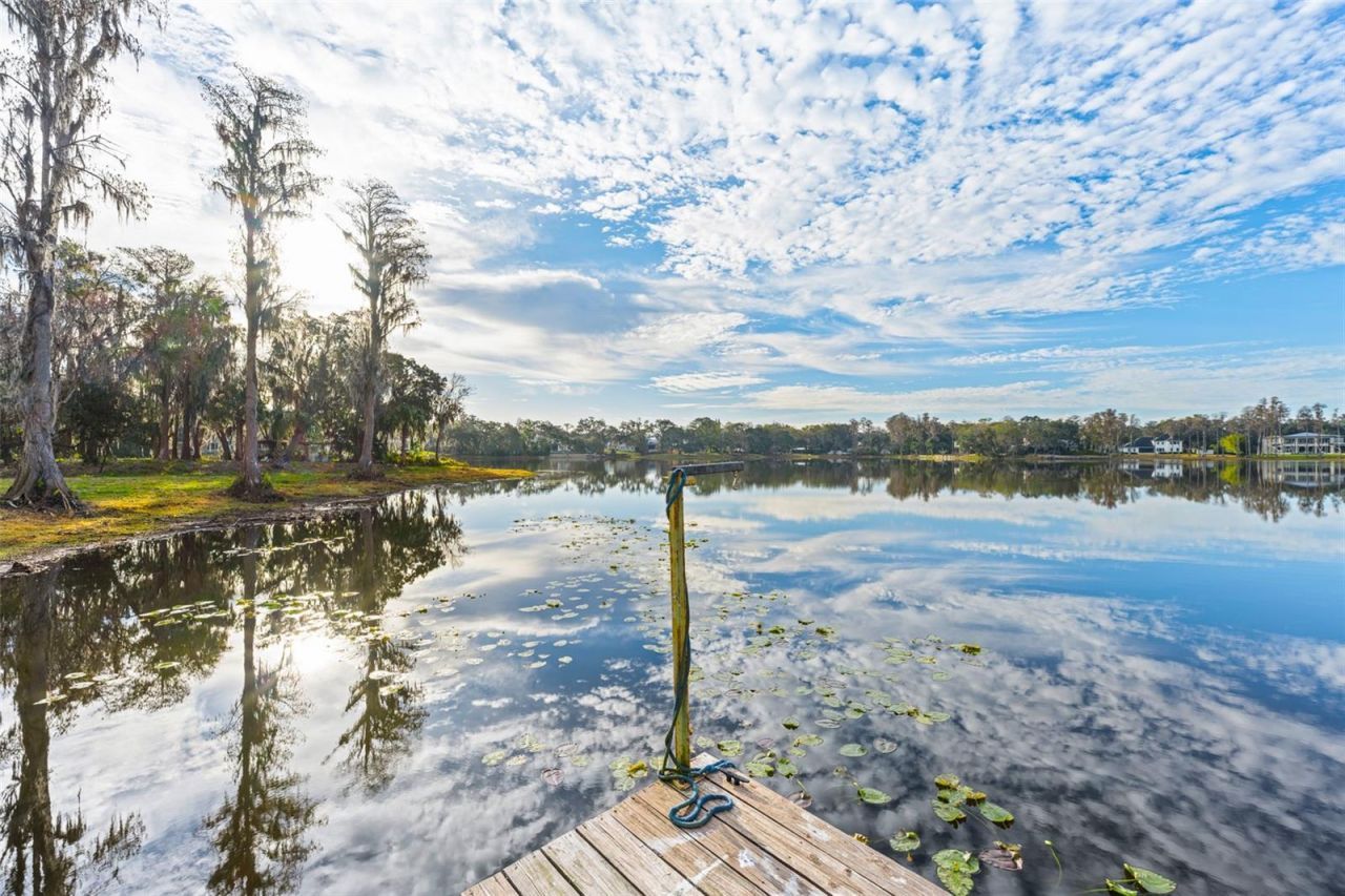 16619 Indian Mound Road, Tampa, FL 33618 Photo