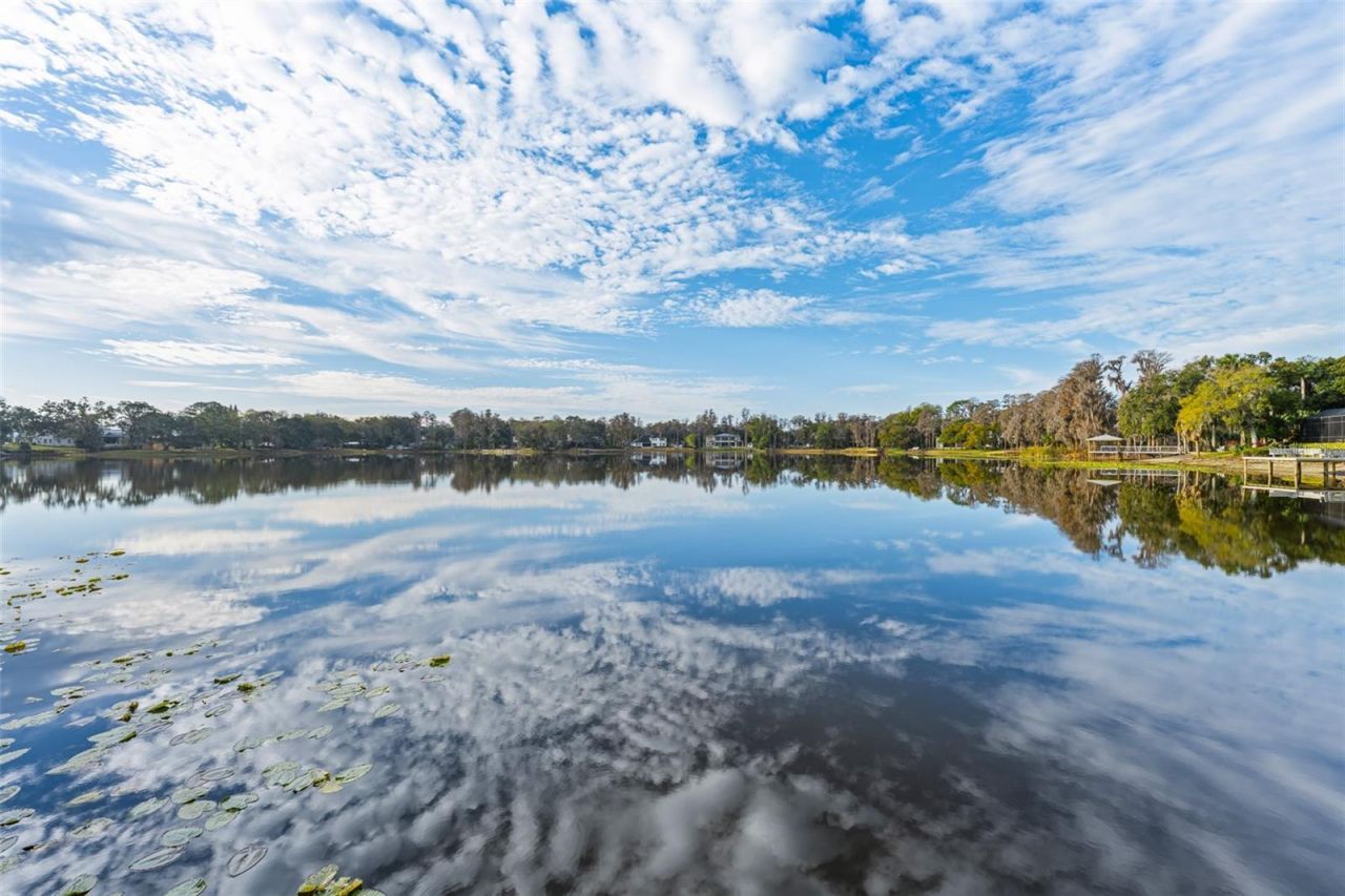 16619 Indian Mound Road, Tampa, FL 33618 Photo