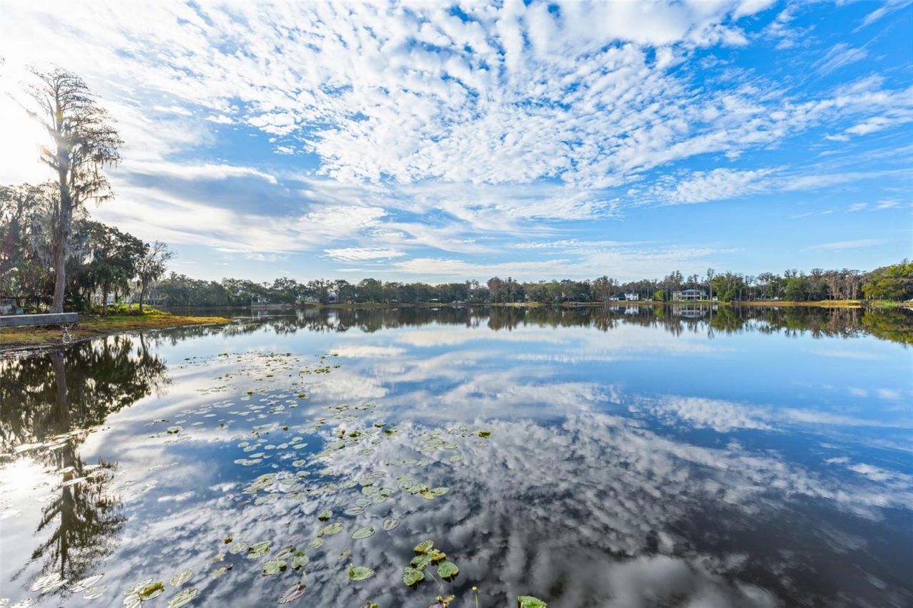 16619 Indian Mound Road, Tampa, FL 33618 Photo