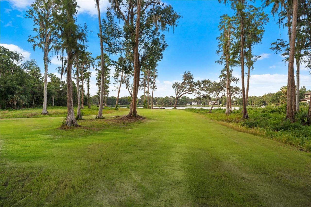 16619 Indian Mound Road, Tampa, FL 33618 Photo