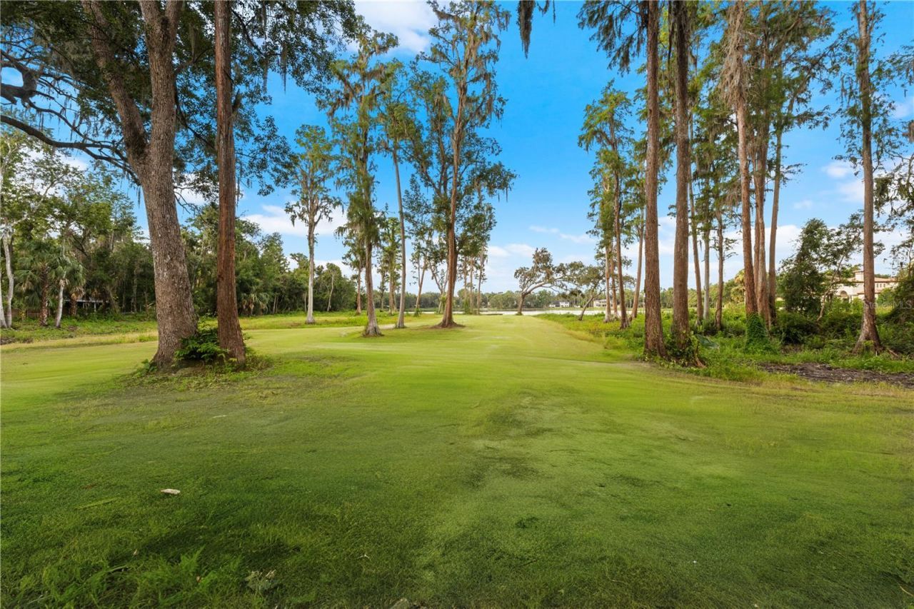 16619 Indian Mound Road, Tampa, FL 33618 Photo