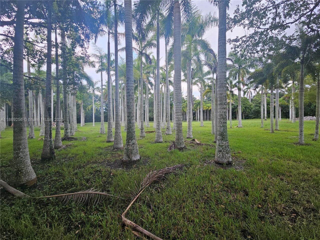 15101 SW 27th St, Davie, FL 33331 Photo