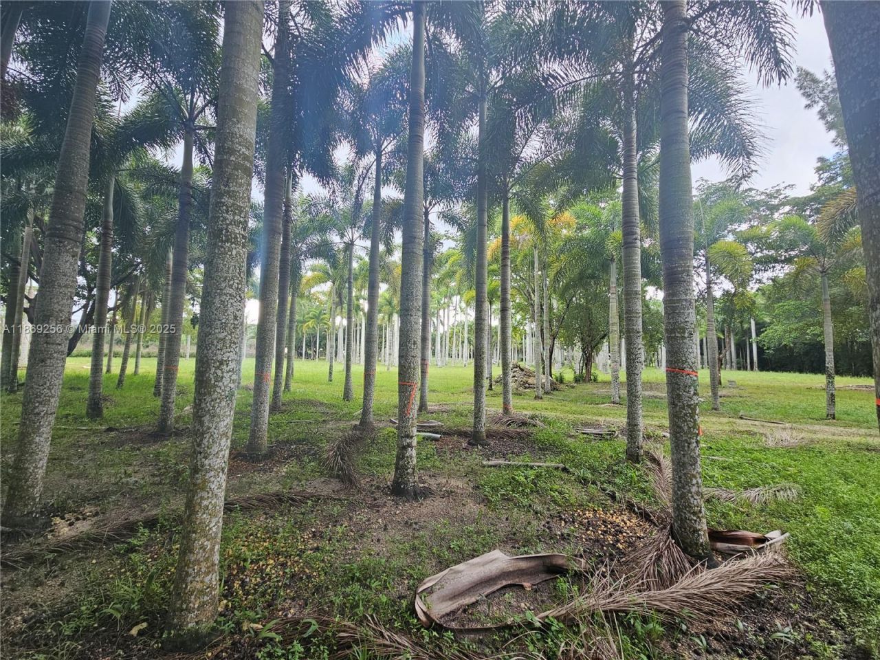 15101 SW 27th St, Davie, FL 33331 Photo