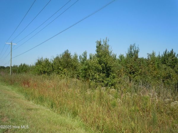 Tbd Near 10700 Andrew Jackson Highway, Fair Bluff, NC 28439