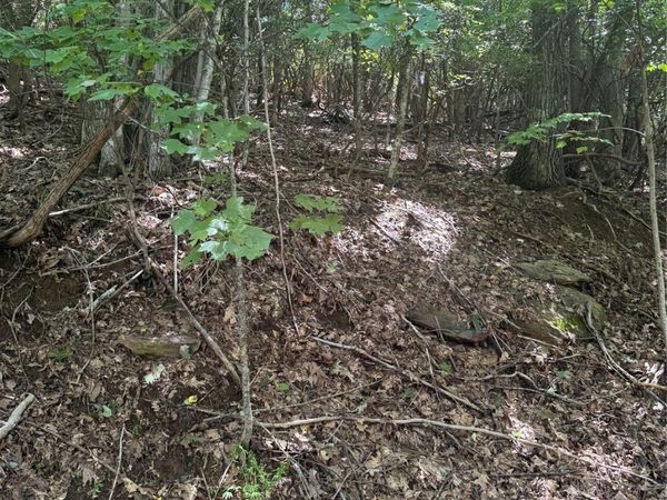 000 Wild Cherry Drive , Mills River, NC 28759