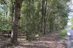 W Pulaski Drive photo 4