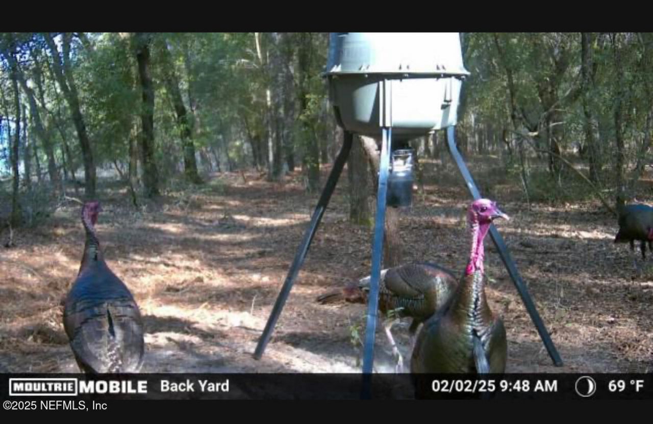 1886 State Road 20 Road S, Hawthorne, FL 32640 Photo