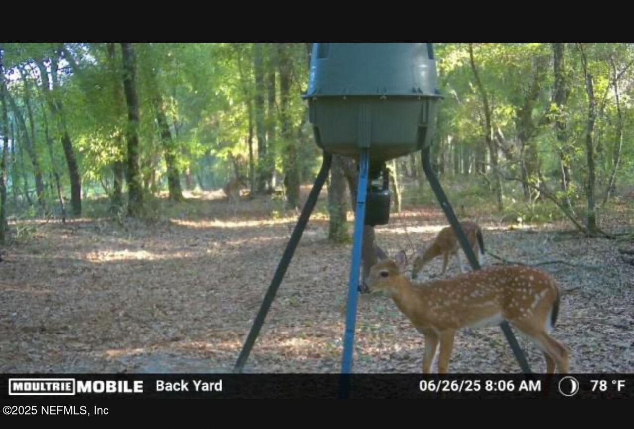 1886 State Road 20 Road S, Hawthorne, FL 32640 Photo