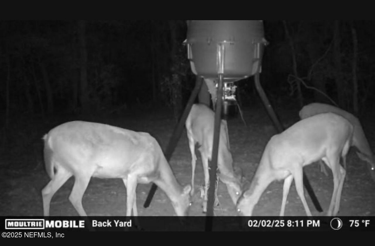 1886 State Road 20 Road S, Hawthorne, FL 32640 Photo