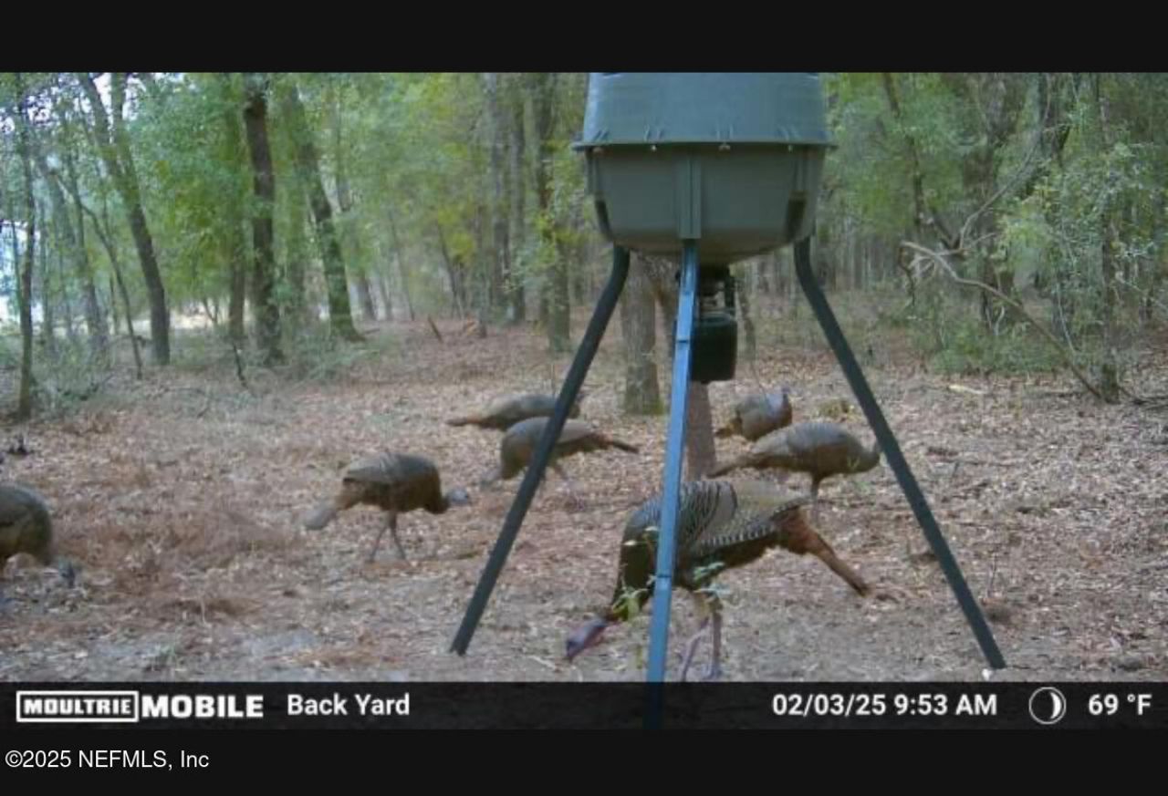 1886 State Road 20 Road S, Hawthorne, FL 32640 Photo