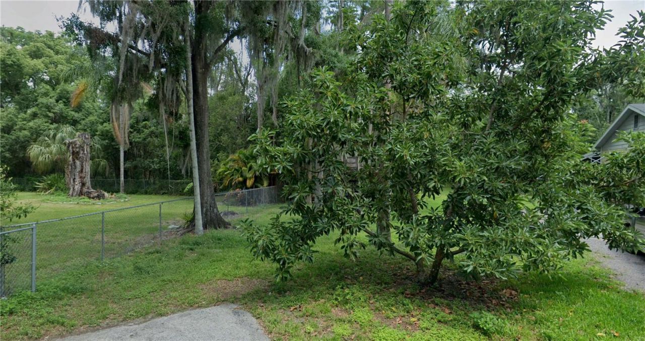 0 2nd Avenue Ne, Lutz, FL 33549 Main Photo