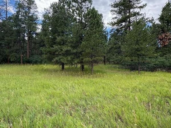 5028 Crow Drive, Larkspur, CO 80118