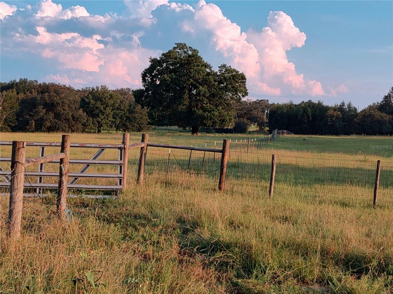 35126 William Lane, Eustis, FL 32736 Photo