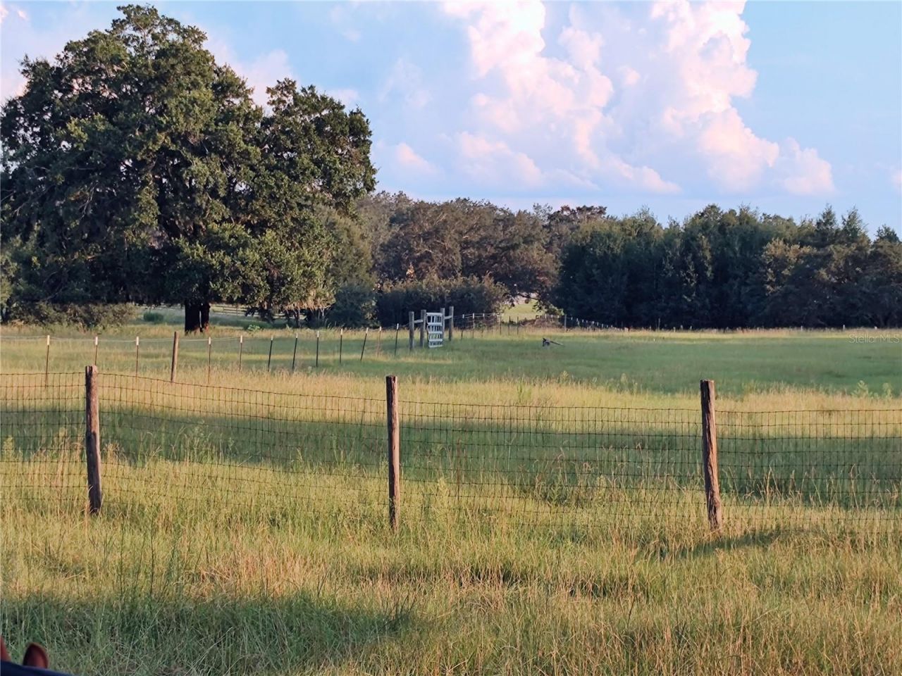 35126 William Lane, Eustis, FL 32736 Photo