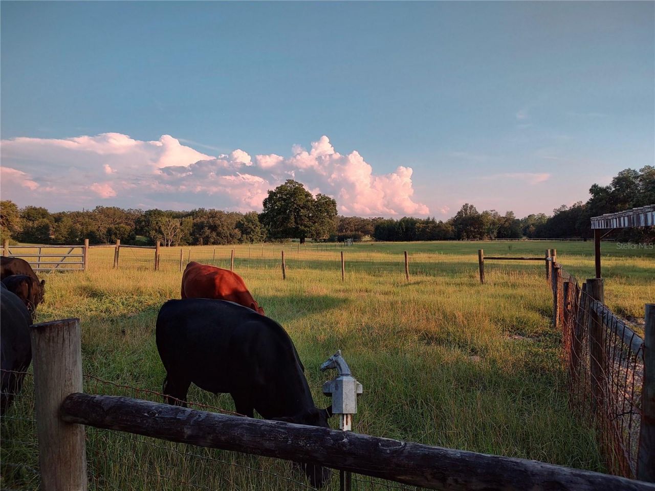 35126 William Lane, Eustis, FL 32736 Photo