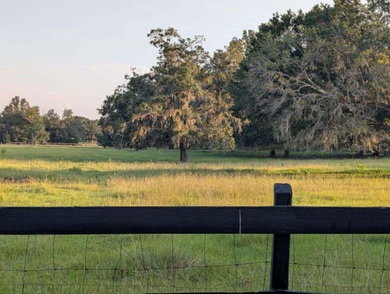 35126 William Lane, Eustis, FL 32736 Photo