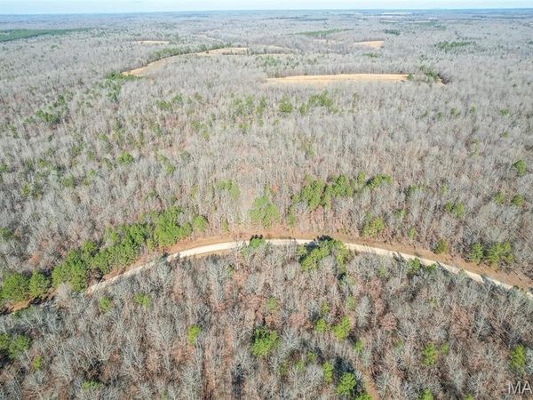 0 Ripley BB-2, Grandin, MO 63943