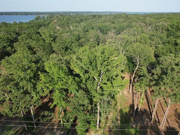 3226 Shadow Pine Drive, Larue, TX 75770